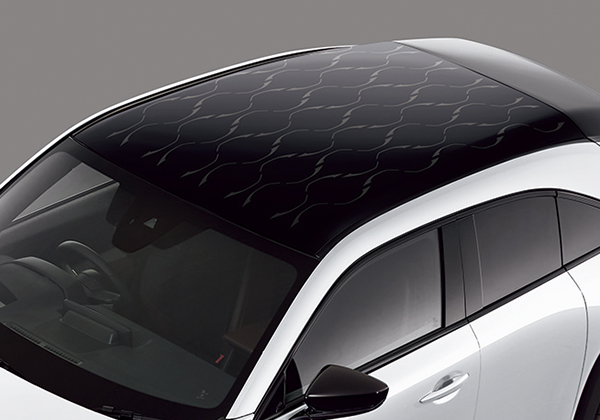 Accessory Detail Content