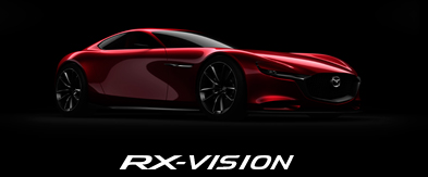RX-VISION